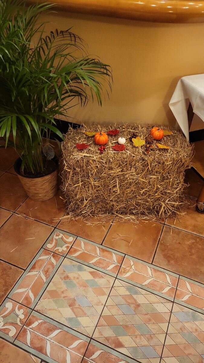 Impression aus dem Restaurant Am Römerbrunnen – WhatsApp Image 2025-09-17 at 12.40.59 (2)